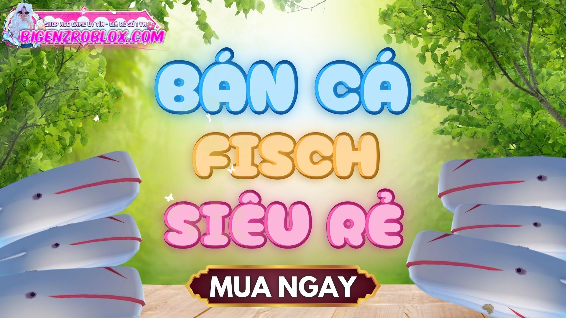 Bán Cá Fisch Siêu Rẻ